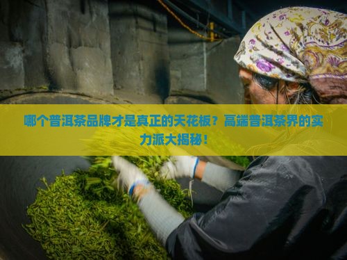 高端普洱茶品牌排名
