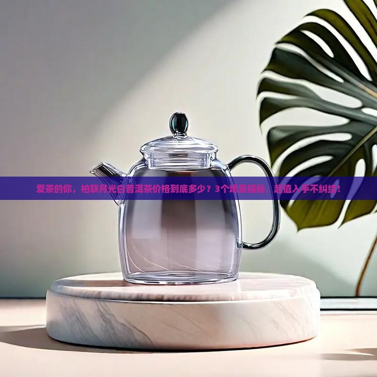 柏联月光白普洱茶价格