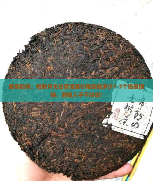 柏联月光白普洱茶价格