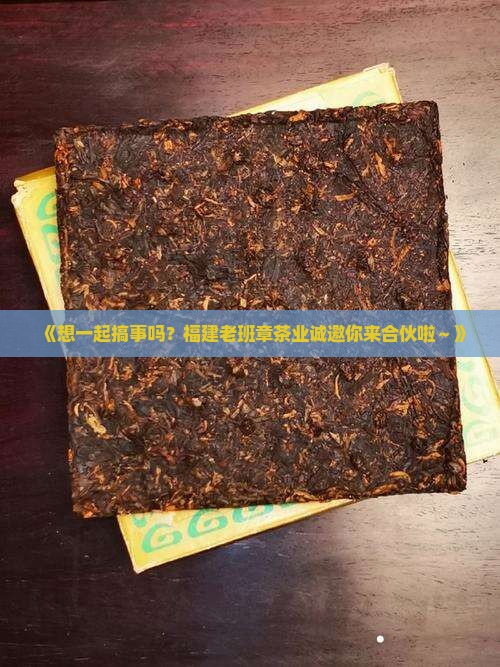 福建知名老班章招商加盟