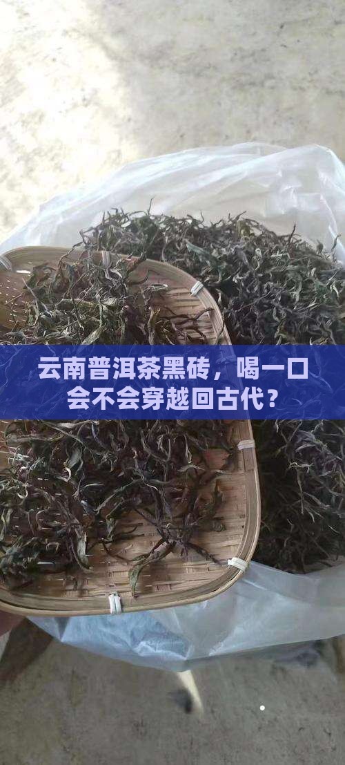 云南普洱茶黑砖 云南普洱茶黑砖