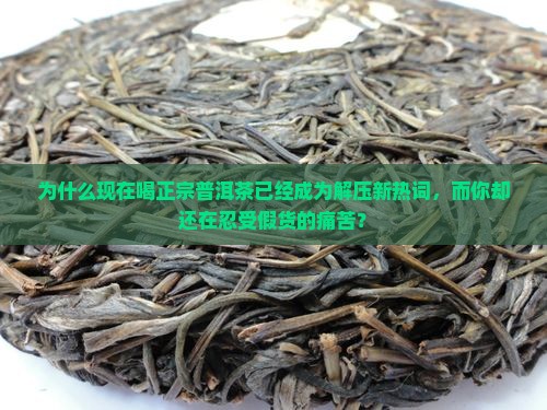 正宗普洱茶享受