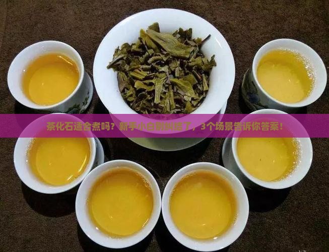 茶化石适合煮吗