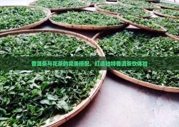 普洱茶混搭泡花茶