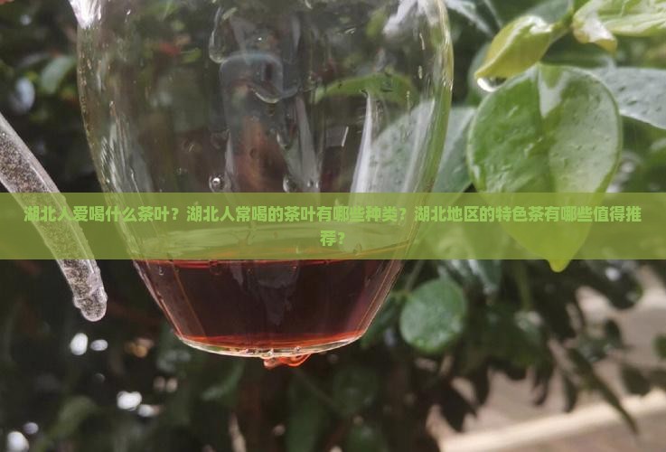 湖北人爱喝什么茶叶
