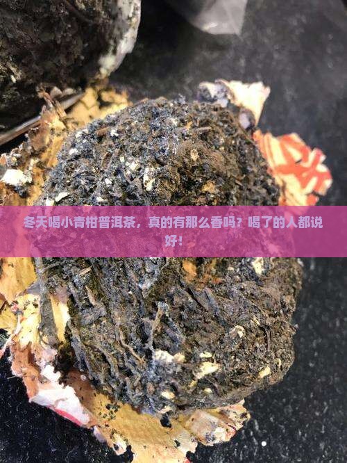 冬天喝小青柑普洱茶功效