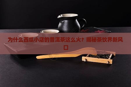 西瓜小店普洱茶