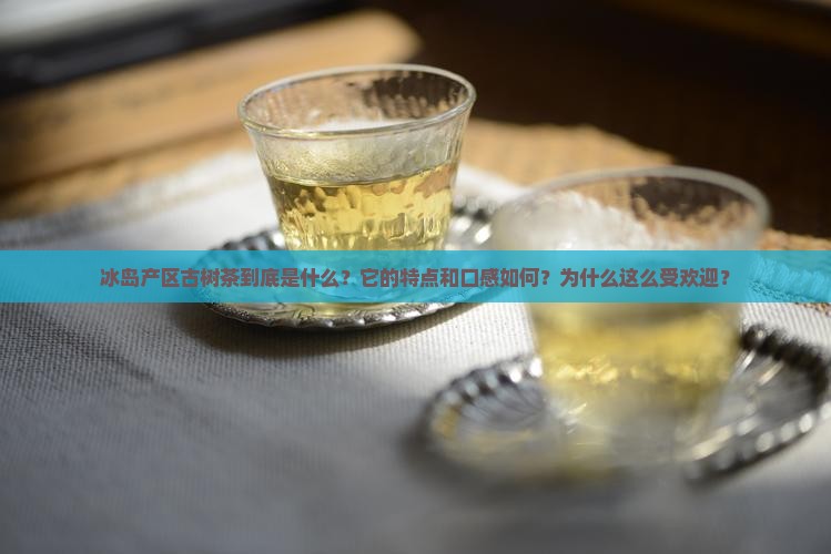 冰岛产区古树茶