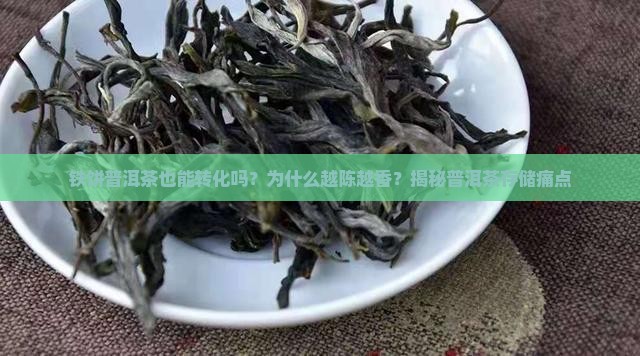 铁饼普洱茶也能转化吗为什么