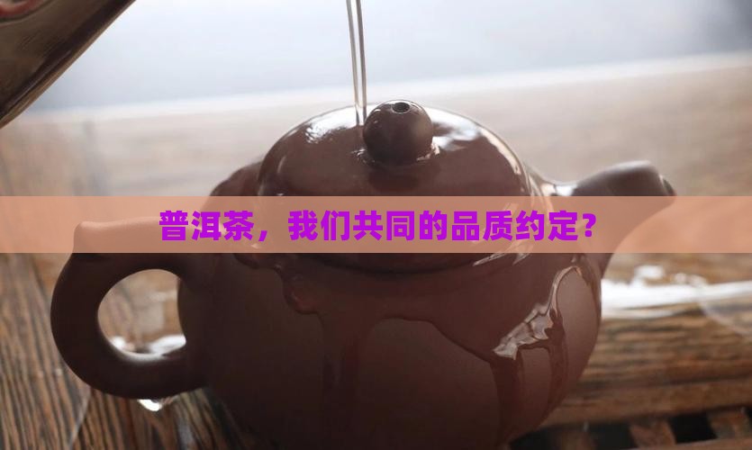 普洱茶产业联盟标准