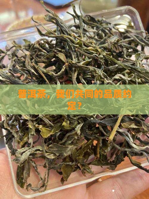 普洱茶产业联盟标准