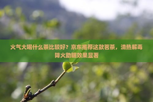 火气大喝什么茶比较好