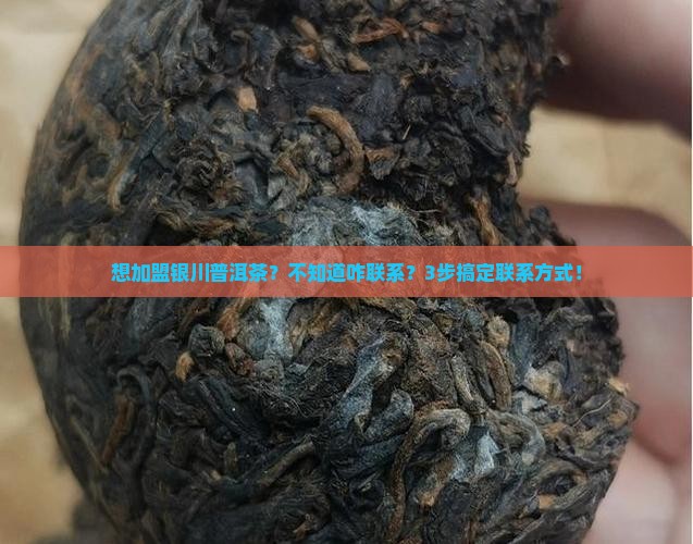银川加盟普洱茶联系方式