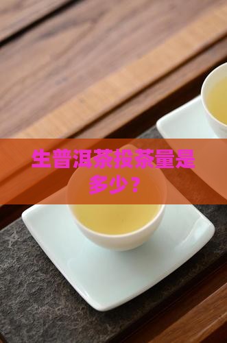 生普洱茶投茶量是多少