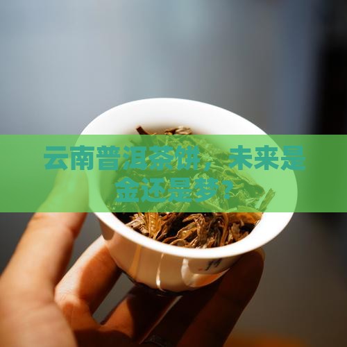 云南普洱茶饼会升值吗