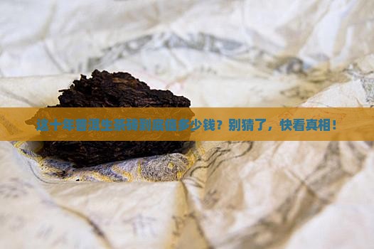 普洱生茶十年陈茶砖价格