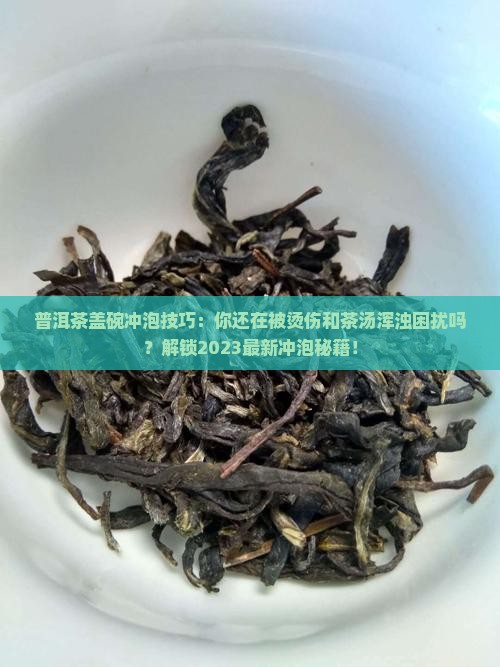 普洱茶盖碗冲泡技巧