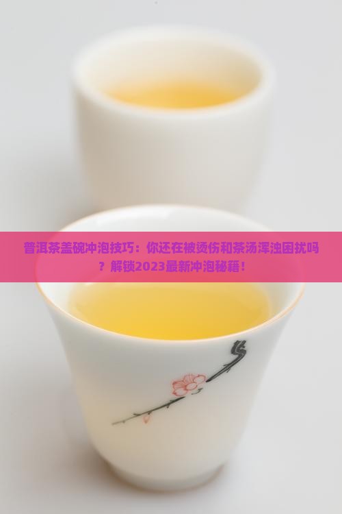 普洱茶盖碗冲泡技巧
