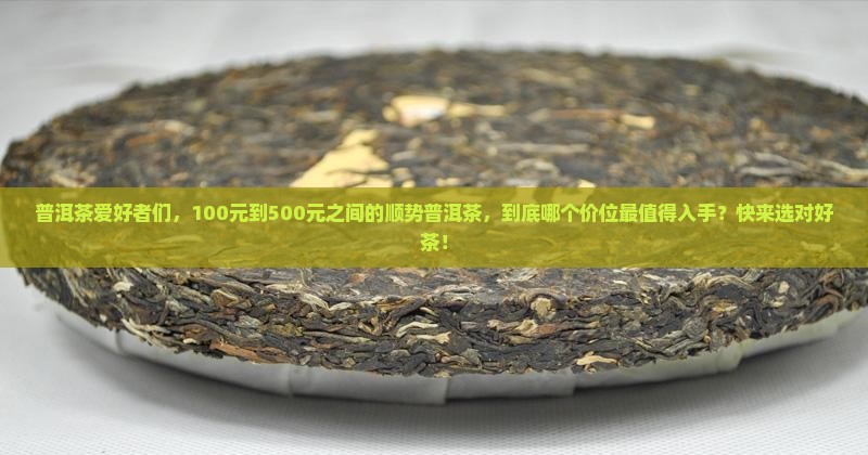 顺势普洱茶的价位