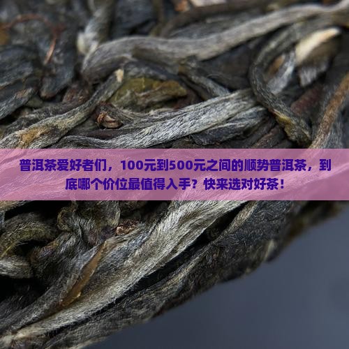 顺势普洱茶的价位