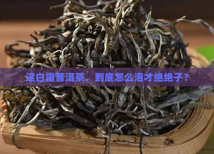 白霜普洱茶怎么泡好喝呢