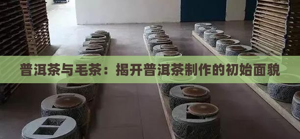 普洱茶是毛茶吗