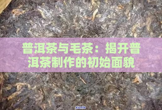 普洱茶是毛茶吗