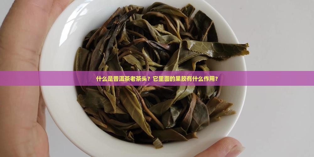 普洱茶老茶头果胶