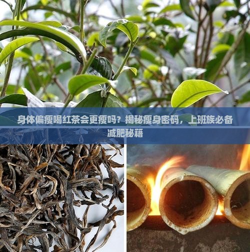 身体偏瘦喝红茶会更瘦吗