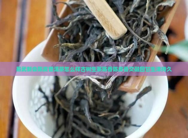 易武新会陈皮普洱茶怎么样