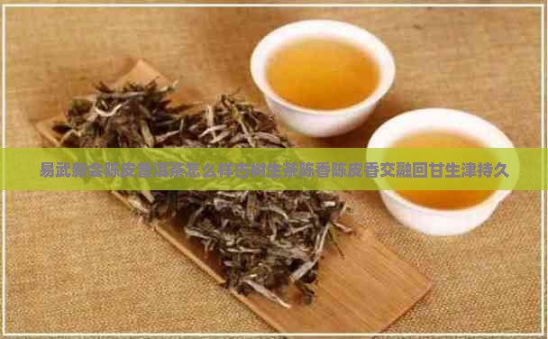 易武新会陈皮普洱茶怎么样
