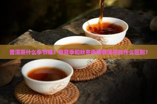 普洱茶实话什么季节喝