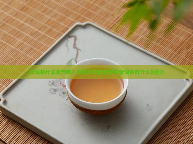 普洱茶实话什么季节喝