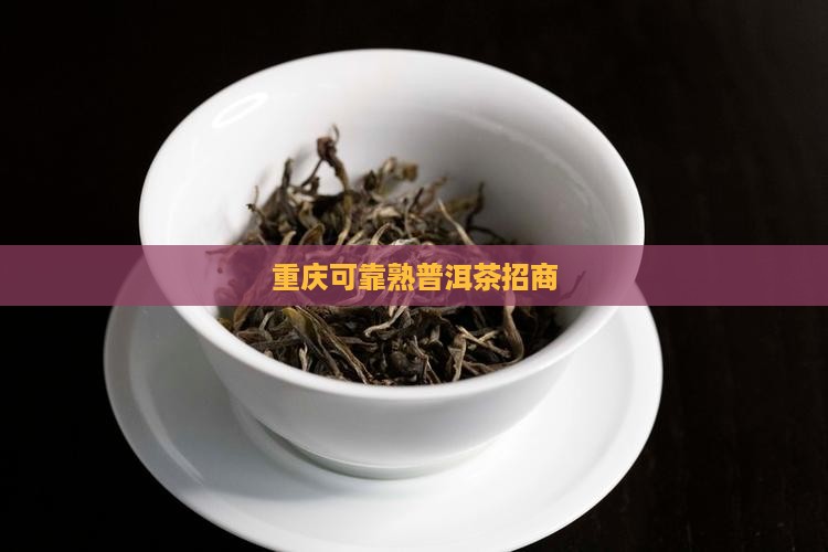 重庆可靠熟普洱茶招商