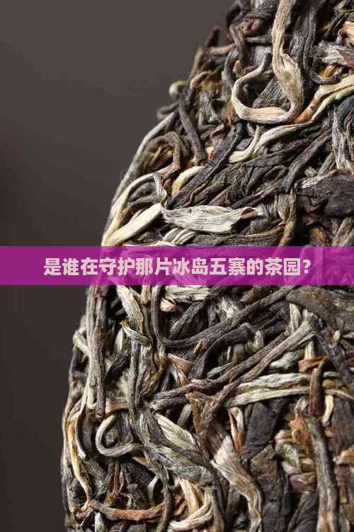 昆明豪庭茶厂冰岛五寨地界