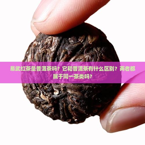 易武红茶是普洱茶吗