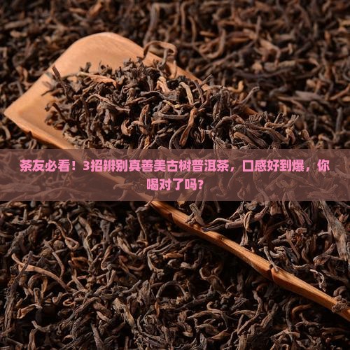 真善美古树普洱茶