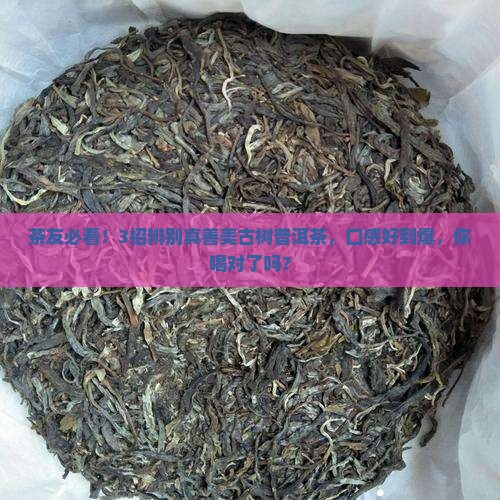 真善美古树普洱茶