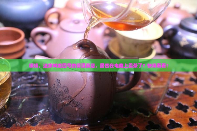 龙园号普洱茶卖茶叶的电商平台 龙园号普洱茶卖茶叶的电商平台