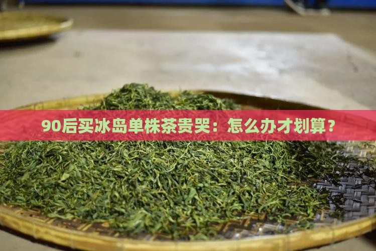 09年冰岛单株茶价格
