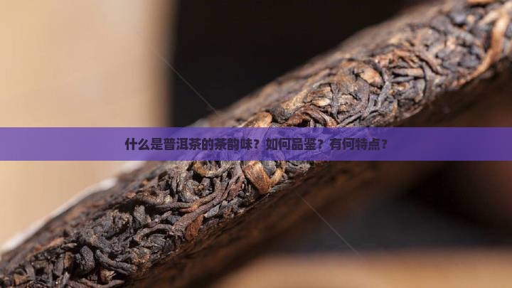 什么是普洱茶的茶韵味