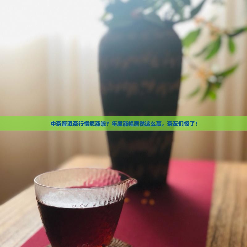 中茶普洱茶行情年涨幅