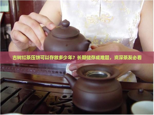 古树红茶压饼可以存放多少年