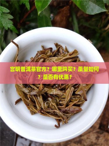 宫明普洱茶官方