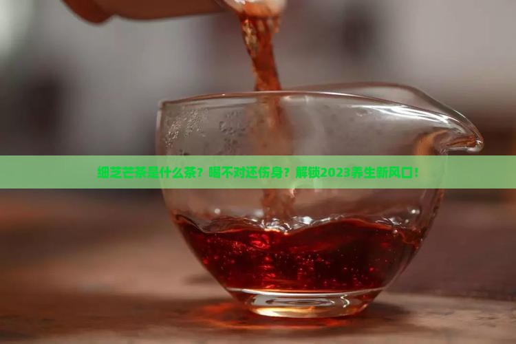 细芝芒茶是什么茶