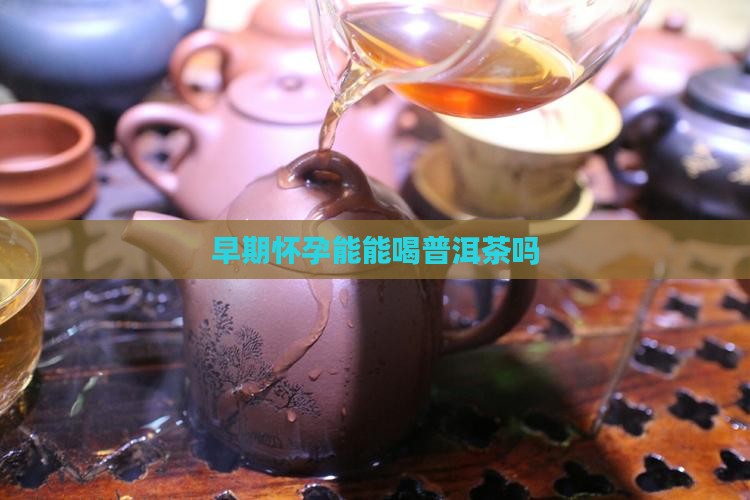 早期怀孕能能喝普洱茶吗