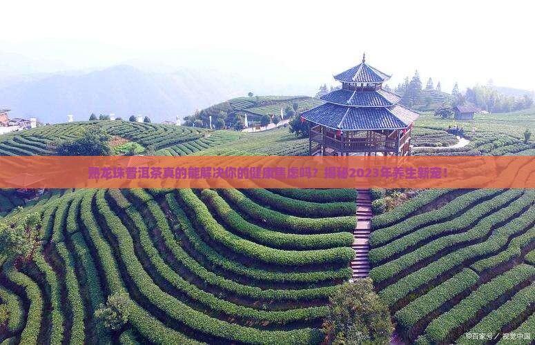 熟龙珠普洱茶的优点