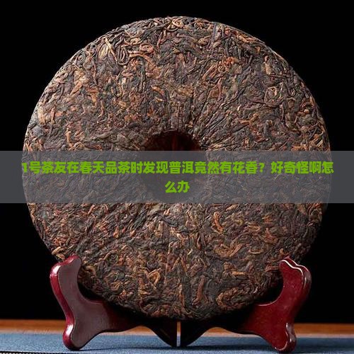 哪种普洱茶有花香和香气