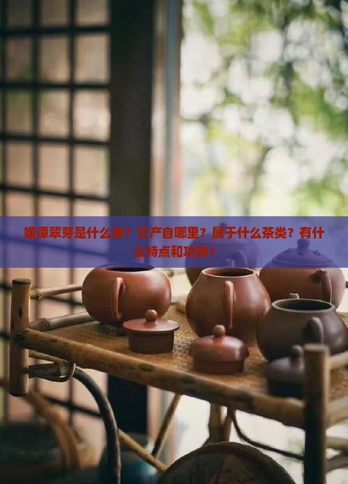 媚谭翠芽是什么茶