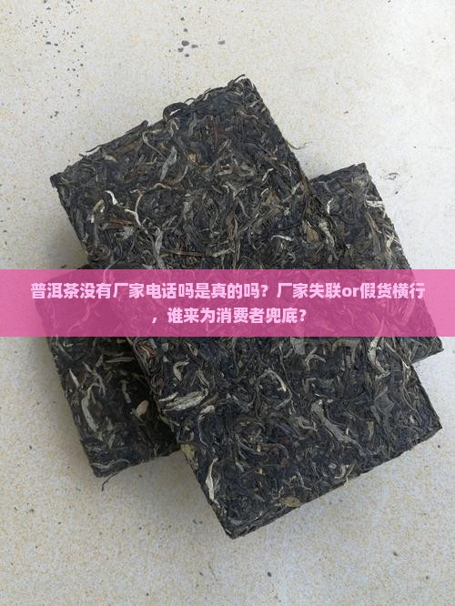 普洱茶没有厂家电话吗是真的吗